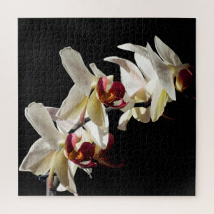 Florale hoogtepunten van witte phalaenopsis Orchid Legpuzzel