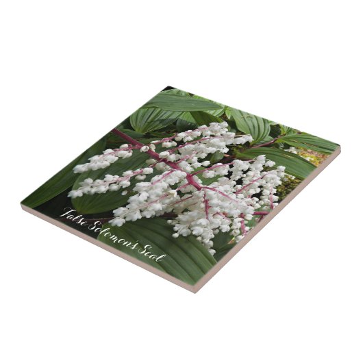 Florale keramische tegel van False Solomon Tegeltje (Zijkant)