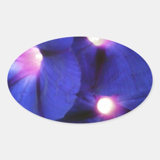 Florale ovale Sticker (Voorkant)