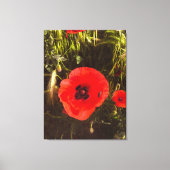 Florale papaver dromer – botanische fantasiekunst canvas afdruk (Voorkant)