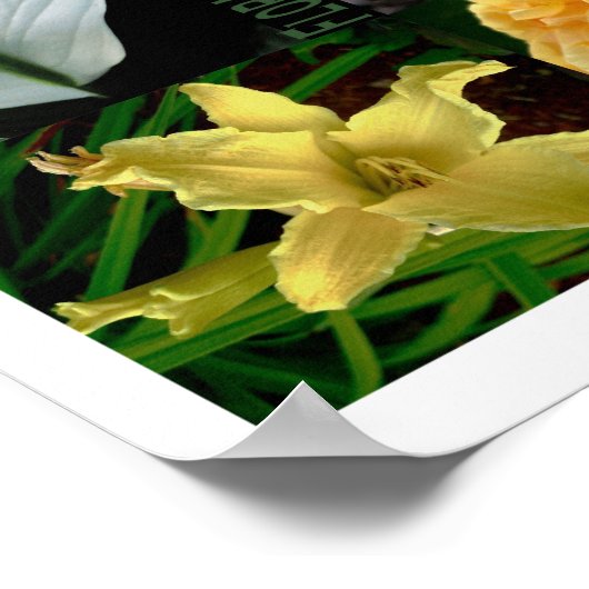 Florale uitbarstingen poster (Hoek)