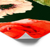 Florale waterverf naadloos. Witte papaver Poster (Hoek)