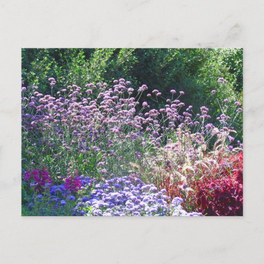 Florals in het Briefkaart van de Engelse tuin (Voorkant)