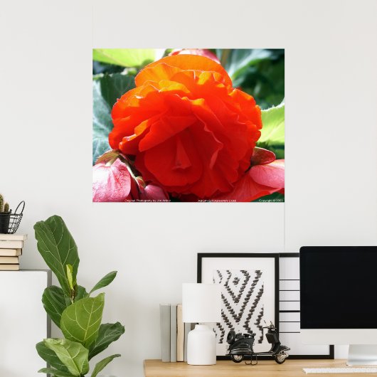 Floralscape/JDA030408107 Poster (Thuiskantoor)