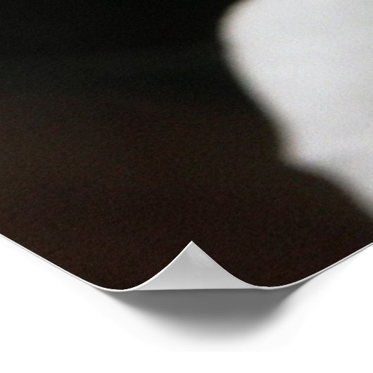 Floralscape/JDA030408109 Poster (Hoek)