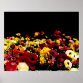 Floralscape/JSKCA001 Poster (Voorkant)