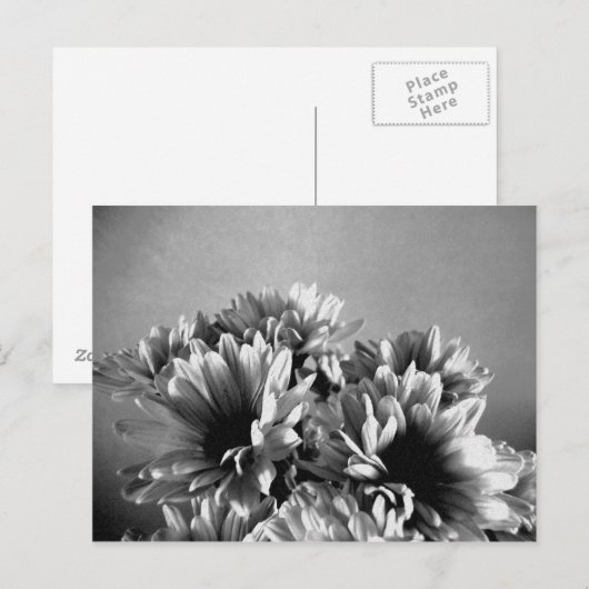 Floreal zwart-wit Briefkaart (Voorkant / Achterkant)