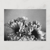 Floreal zwart-wit Briefkaart (Voorkant)