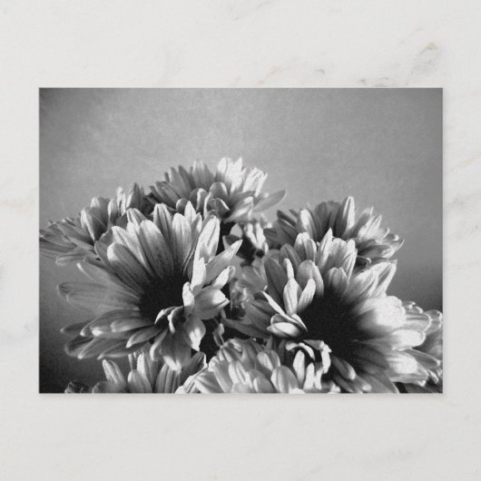 Floreal zwart-wit Briefkaart (Voorkant)