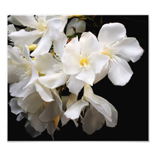 floreel foto afdruk (Voorkant)