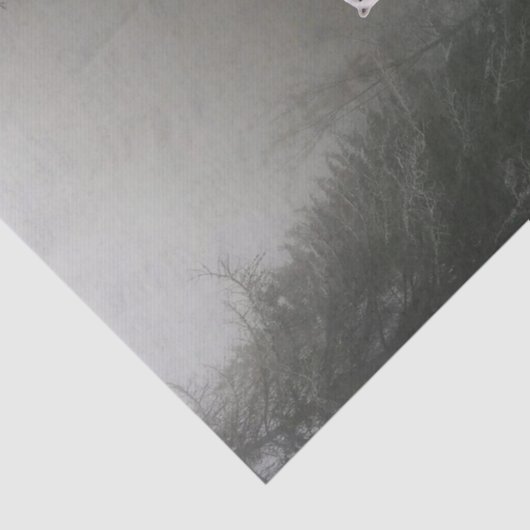 Florence, Beer van zonnebloempitten Tissuepapier (Detail)