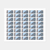 Florence Cathedral Labels (Vel)