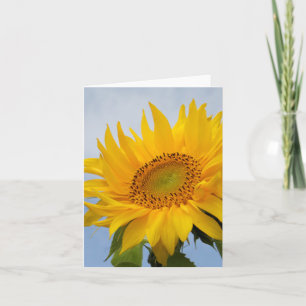 Florence - geel zonnebloem - blanco notecard kaart