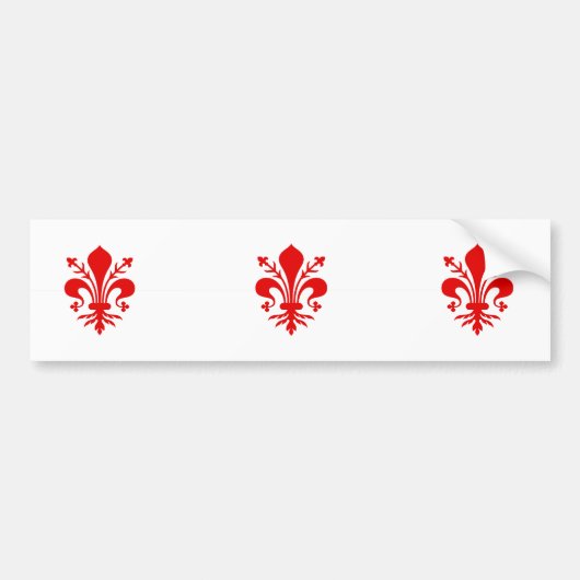 Florence, Italië Bumpersticker (Voorkant)