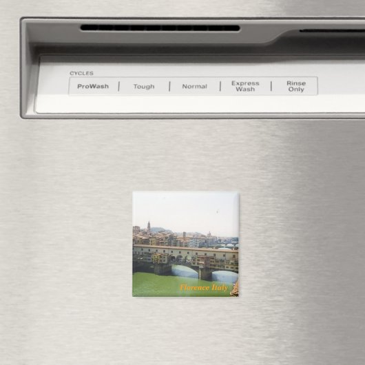 Florence koelkast magneet (Insitu (Vaatwasser))