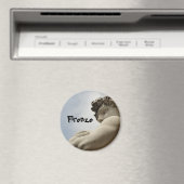 Florence Magnet (Insitu (Vaatwasser))