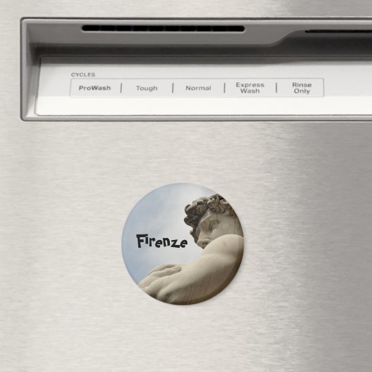 Florence Magnet (Insitu (Vaatwasser))