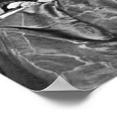 Florence Nightingale Portrait - 1854 Poster (Hoek)