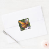 Florence Oranje Monarch Butterfly Foto Flower Vierkante Sticker (Envelop)