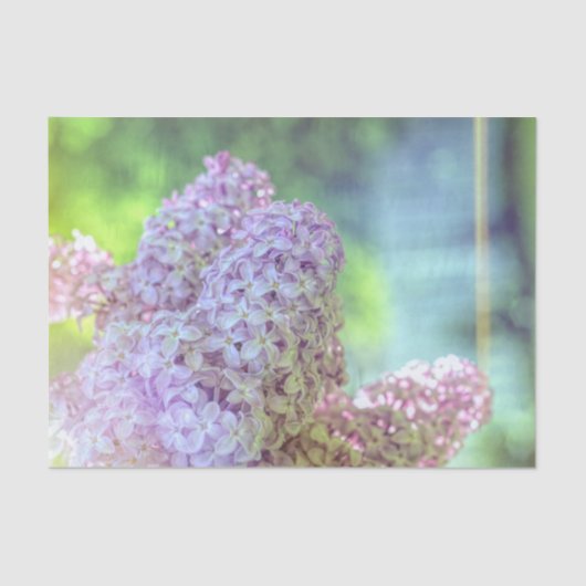 Florence Paars Lila landkunstontwerp Tissuepapier (Voorkant)