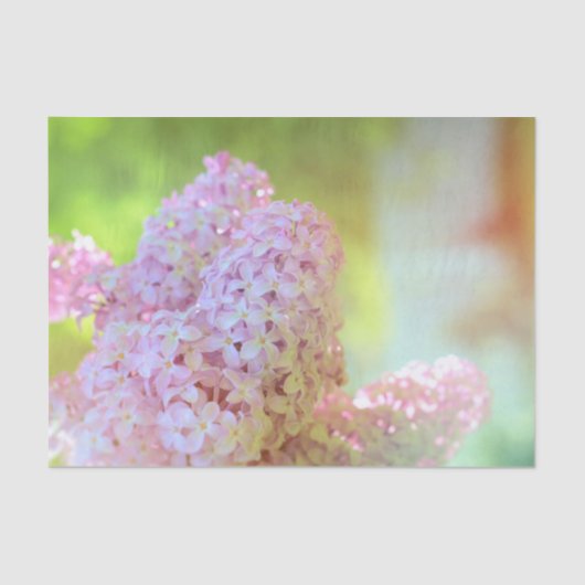 Florence Paars Lila pasteellandkunstontwerp Tissuepapier (Voorkant)