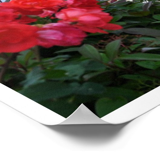 Florence, Toscane, Italië Poster (Hoek)