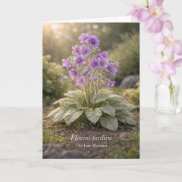 Florens tardiva De Late Bloeier Botanisch Kaart