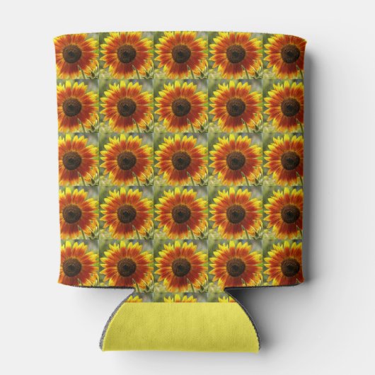 Florentijn van de Gele en de Bronze Blikjeskoeler (Achterkant)