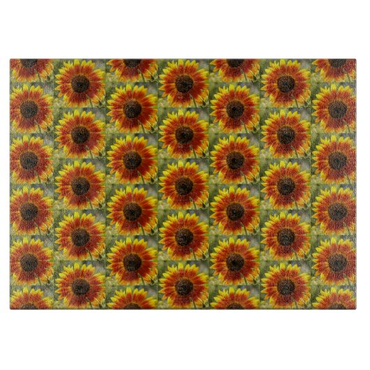 Florentijn van de Gele en de Bronze Snijplank (Voorkant)