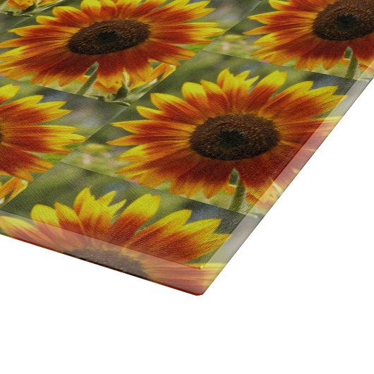 Florentijn van de Gele en de Bronze Snijplank (Hoek)