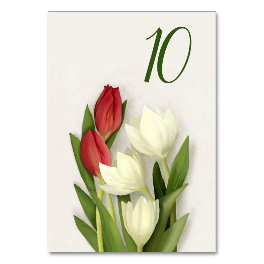 Florentijnse tulpen kaart (Voorkant)