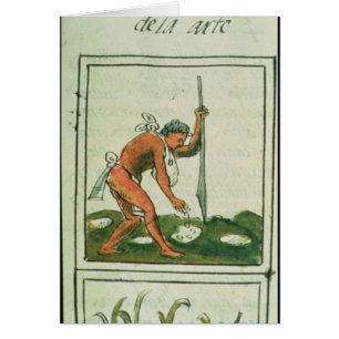 Florentine Codex' door Bernardino de Sahagun