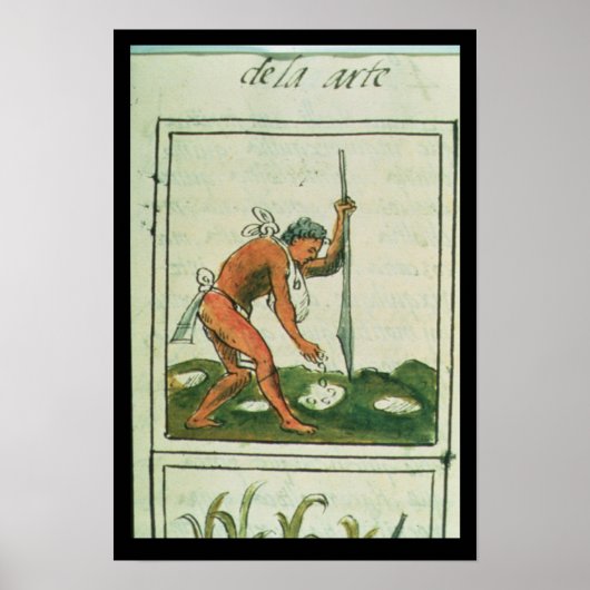 Florentine Codex' door Bernardino de Sahagun Poster (Voorkant)