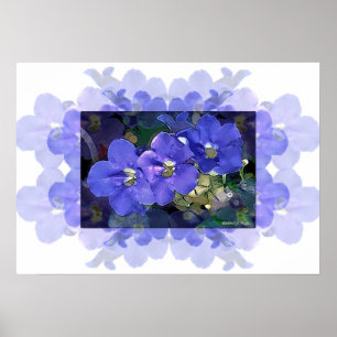 Flores Azuis (Blauwe Bloemen) Poster