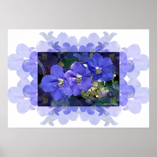 Flores Azuis (Blauwe Bloemen) Poster (Voorkant)