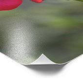 Flores, bloemen foto afdruk (Hoek)