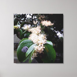 flores brancas1 canvas afdruk