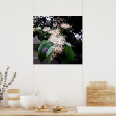 flores brancas1 poster (Keuken)