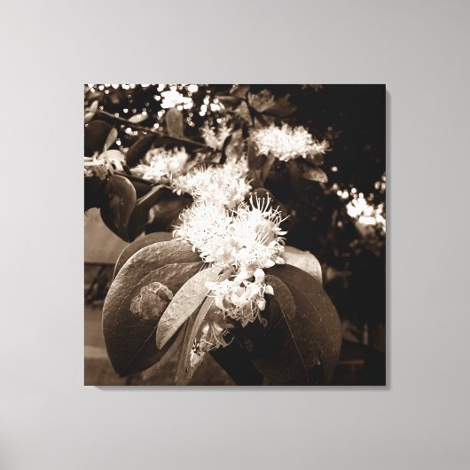 flores brancas2 canvas afdruk (Voorkant)