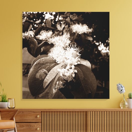 flores brancas2 canvas afdruk (Insitu (Woonkamer))