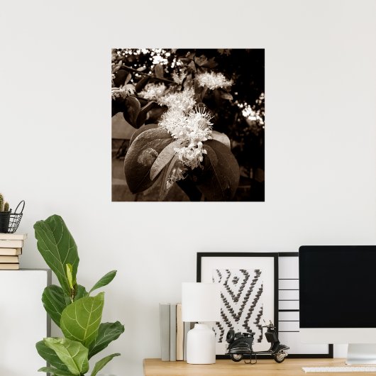 flores brancas2 poster (Thuiskantoor)