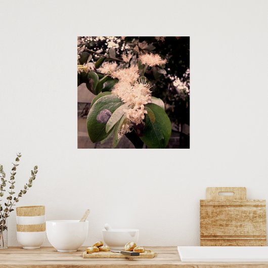 flores brancas3 poster (Keuken)