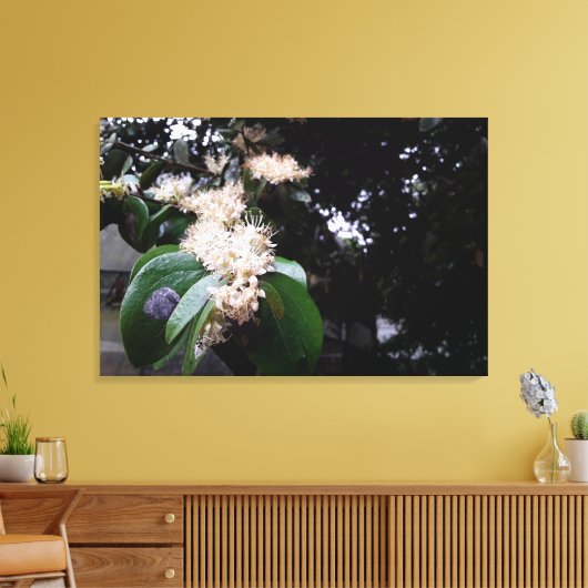 flores brancas canvas afdruk (Insitu (Woonkamer))