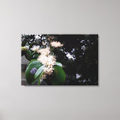 flores brancas canvas afdruk (Voorkant)