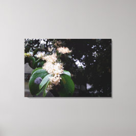 flores brancas canvas afdruk