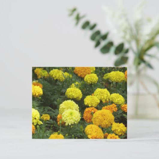 Flores Claveles Briefkaart (Staand voorkant)