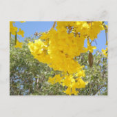 Flores de Puerto Rico Briefkaart (Voorkant)