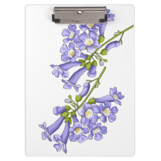 Flores do Brasil jacaranda Klembord