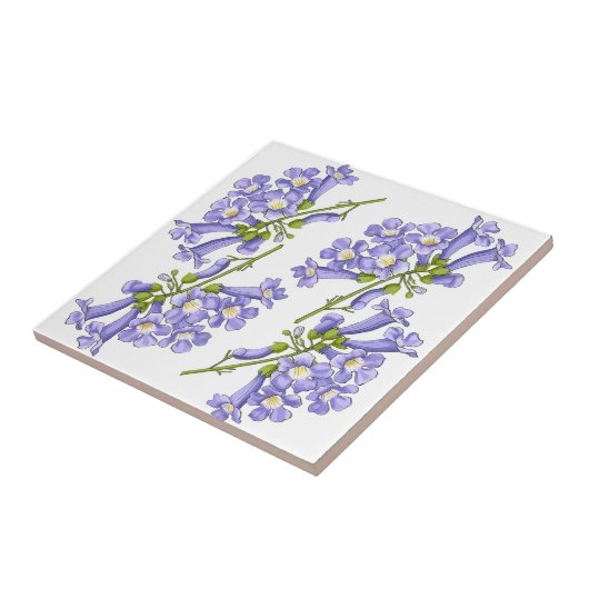 Flores do Brasil jacaranda Tegeltje (Zijkant)