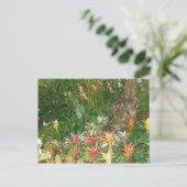 Flores en Aibonito Briefkaart (Staand voorkant)